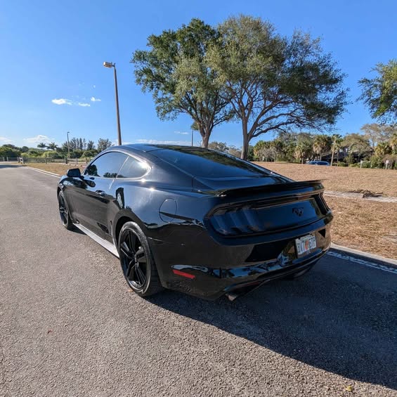 S650 Mustang FOR SALE - 2015 Mustang Ecoboost /6 speed manual 503801263_10161251180046497_7282413303551069616_n
