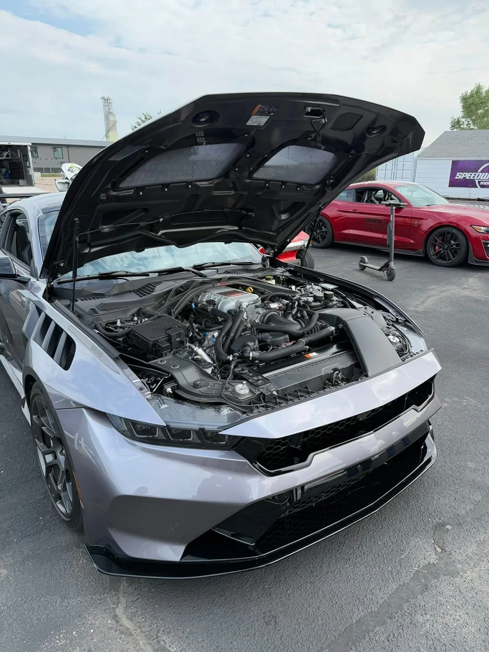 S650 Mustang Mustang GTD at Motorsport Park Hastings 544739517_1225663709593977_976567014047452810_n