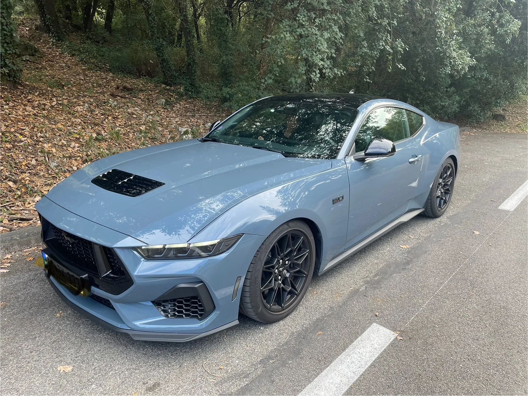 S650 Mustang Considering a 2026 Custom Order IMG_0783