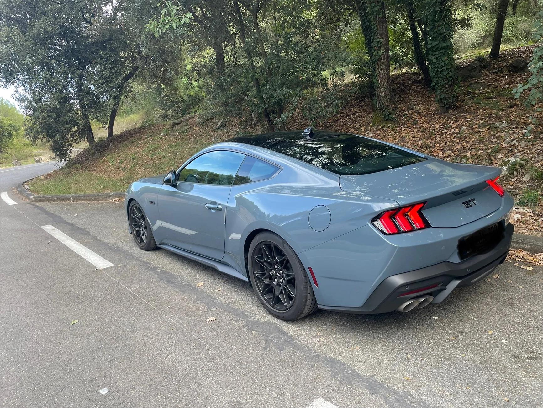 S650 Mustang Considering a 2026 Custom Order IMG_0782