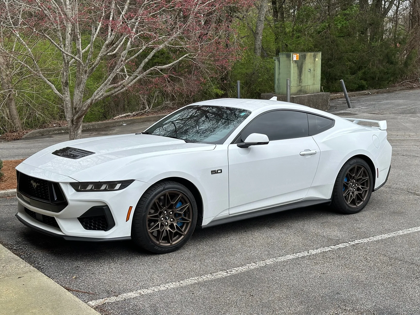 S650 Mustang Considering a 2026 Custom Order IMG_0063