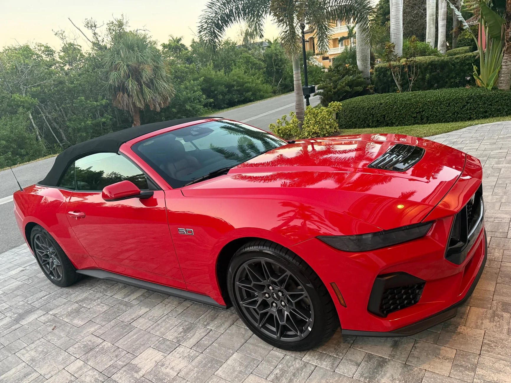 S650 Mustang Introductions & Welcome Thread 👋 IMG_3098