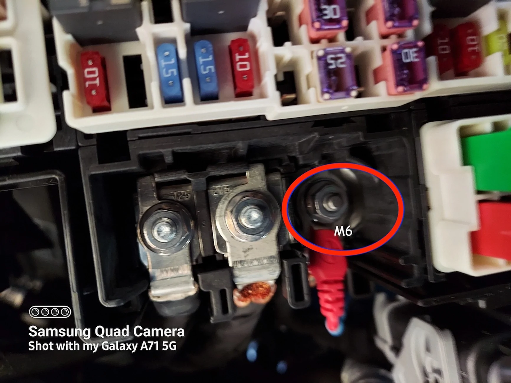 battery tender 003.webp