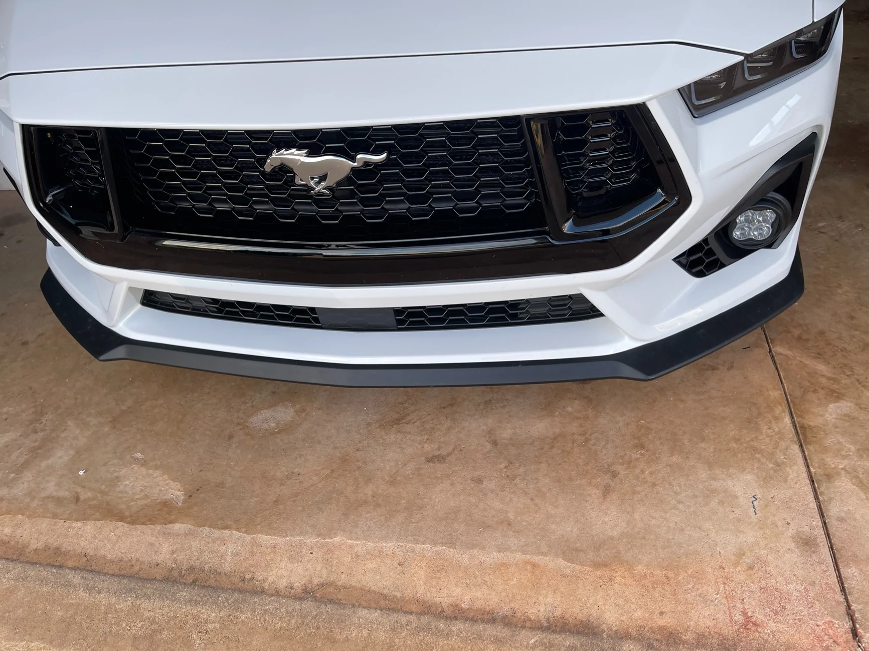 S650 Mustang What did you do to your S650 Mustang today?? 🙋🏻‍♂️ IMG_5544