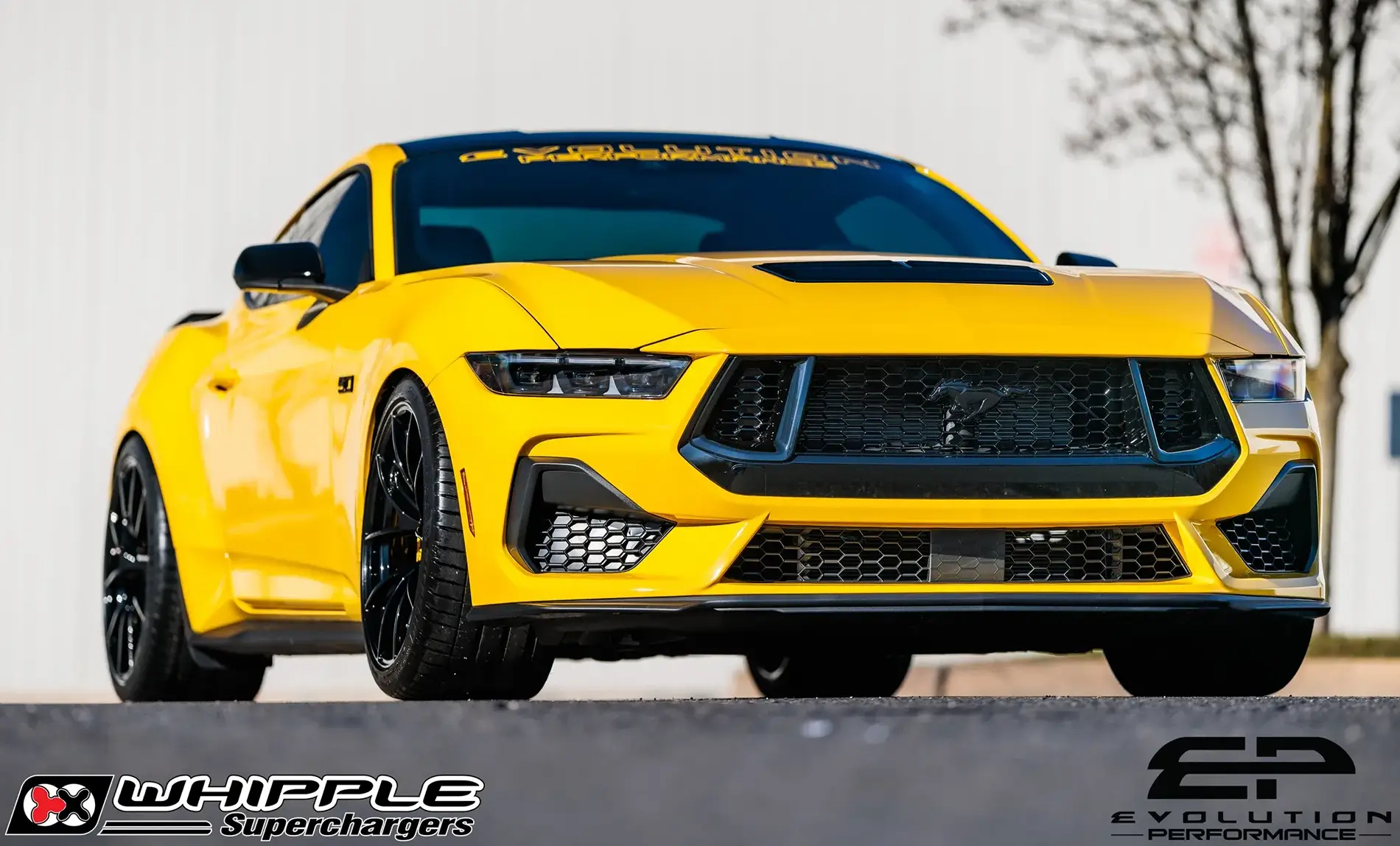 S650 Mustang Shoe shopping - is Forged worth it? 1761784581916-4