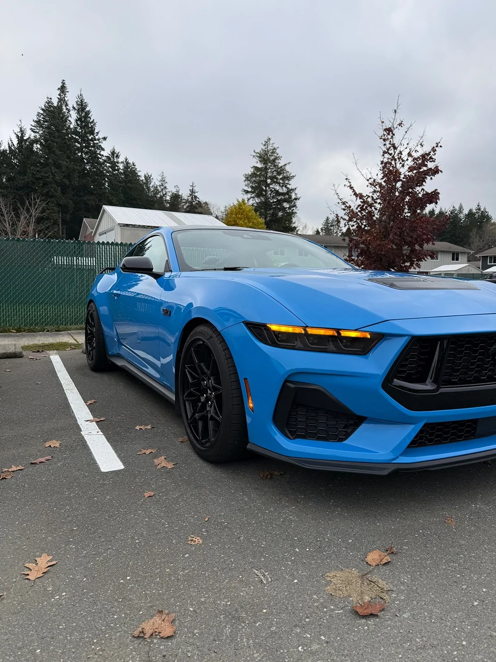 S650 Mustang What did you do to your S650 Mustang today?? 🙋🏻‍♂️ IMG_8949