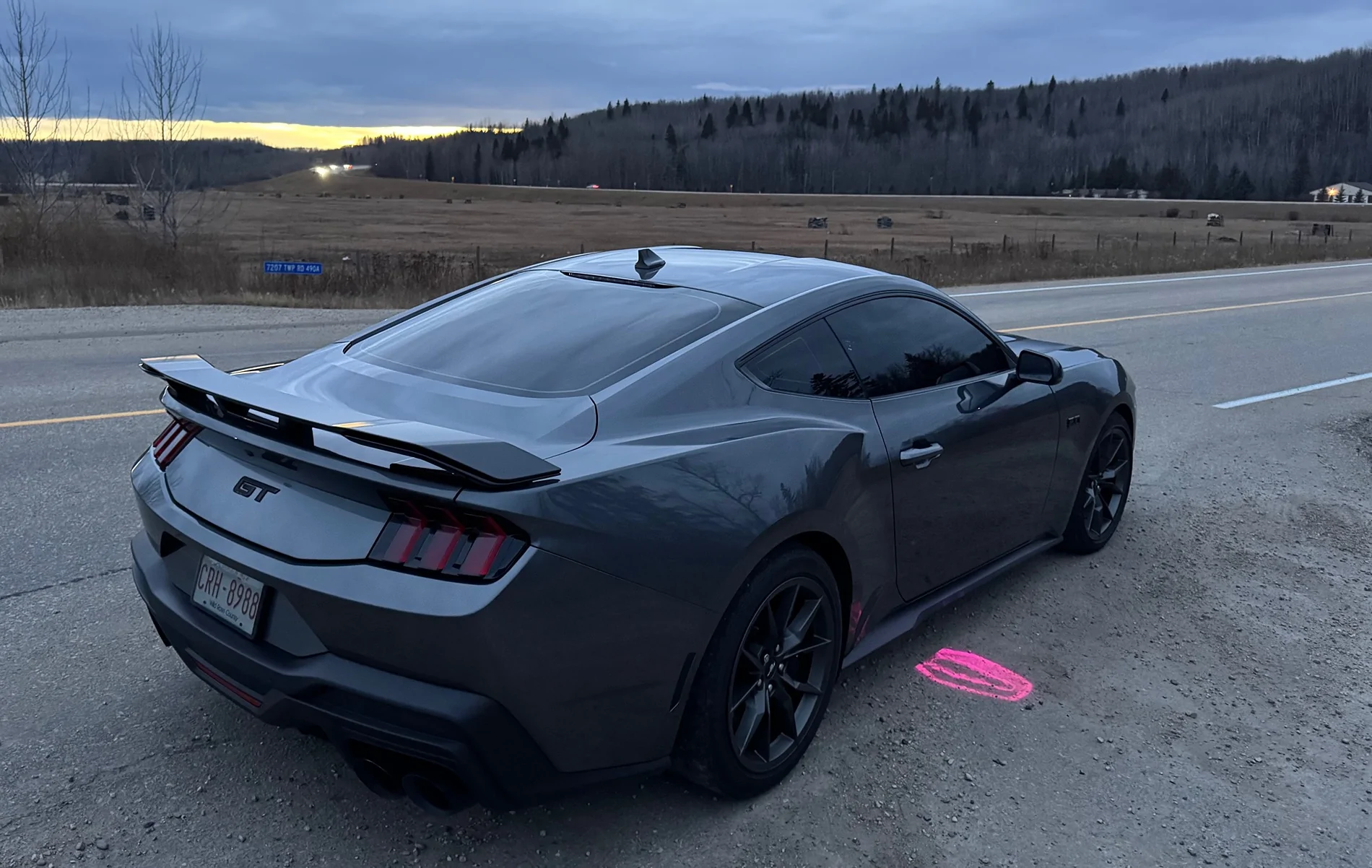 S650 Mustang Cool Daily Random S650 Mustang Pics -- Post Yours! 📸 IMG_8970