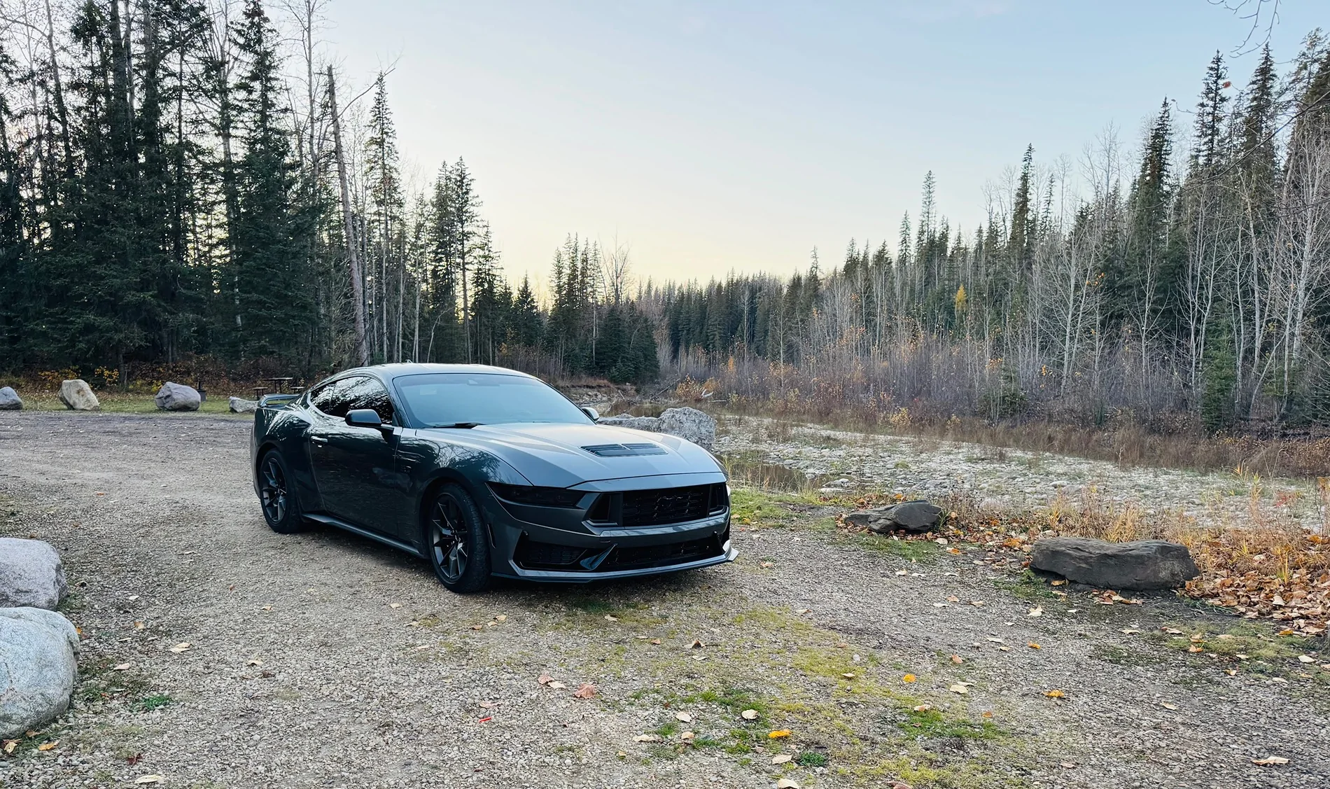 S650 Mustang Cool Daily Random S650 Mustang Pics -- Post Yours! 📸 IMG_8869