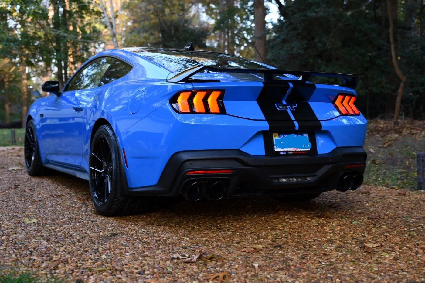 Back & Side view 2 .webp