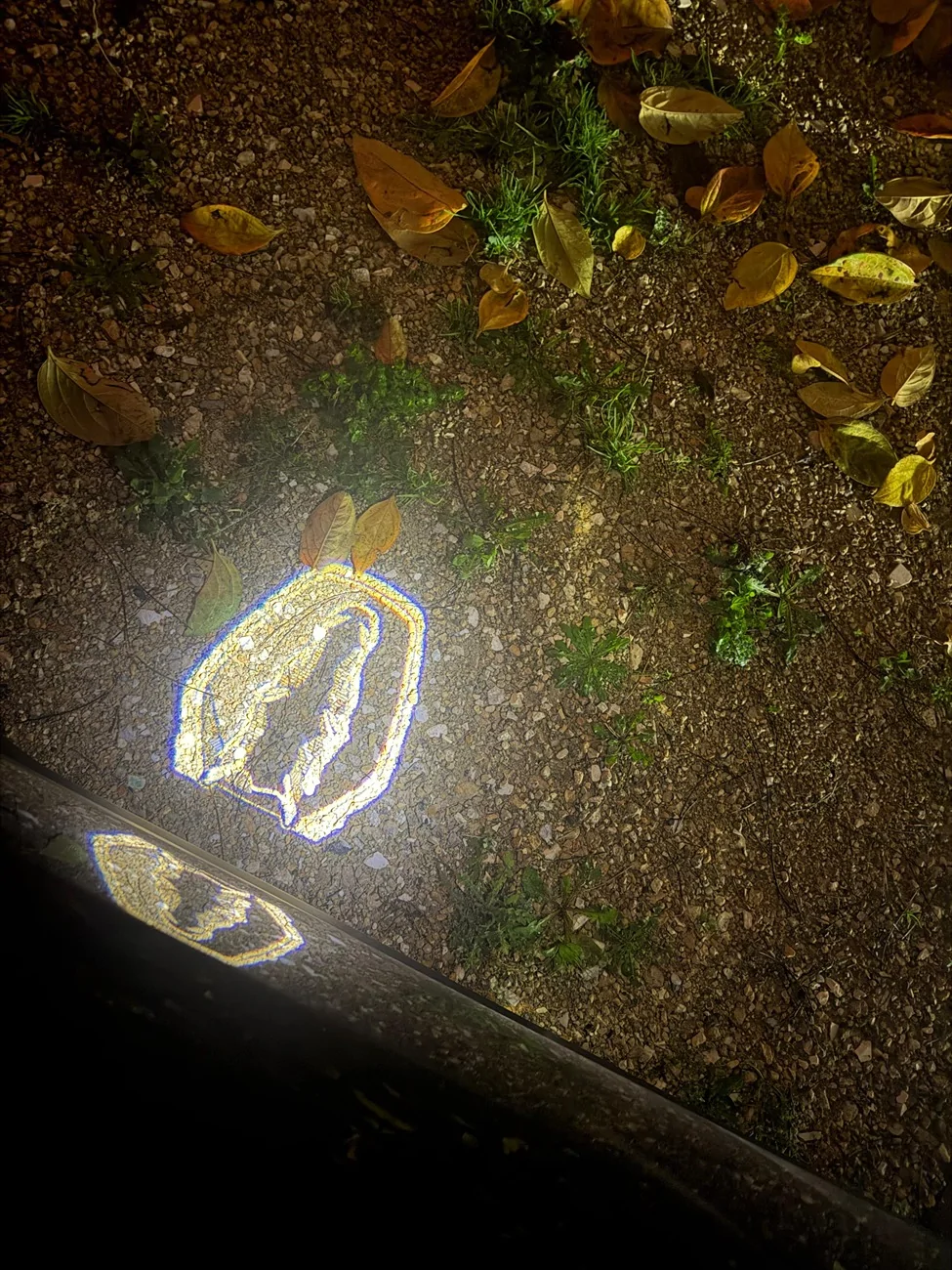 S650 Mustang Puddle Lights how do they works? Dark Horse (EU) Immagine WhatsApp 2025-11-04 ore 09.20.16_347919f1