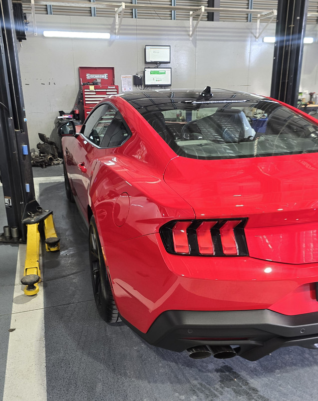 S650 Mustang This Just Got Real! original