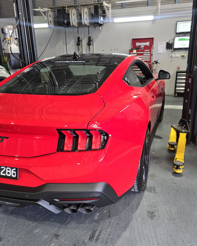 S650 Mustang This Just Got Real! original-1