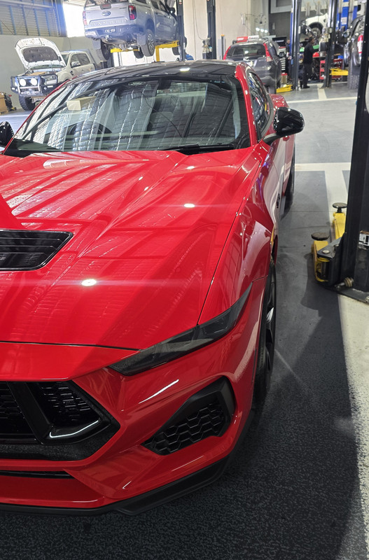 S650 Mustang This Just Got Real! original-2