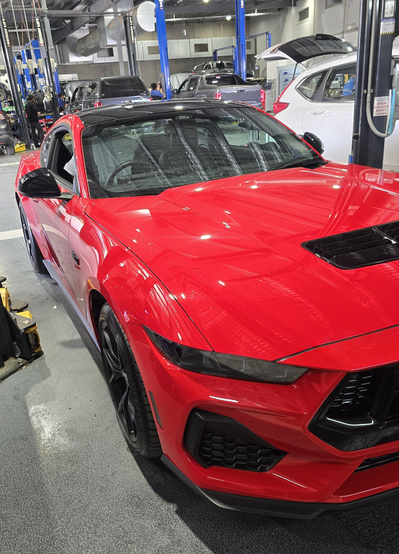 S650 Mustang This Just Got Real! original-3