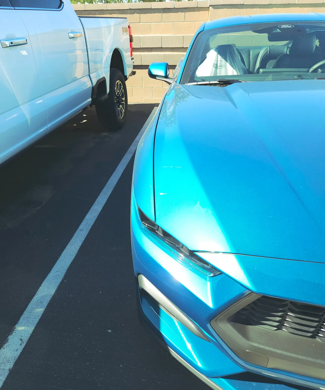 S650 Mustang Official Adriatic Blue Metallic Mustang S650 Thread 20251106_112010(1)