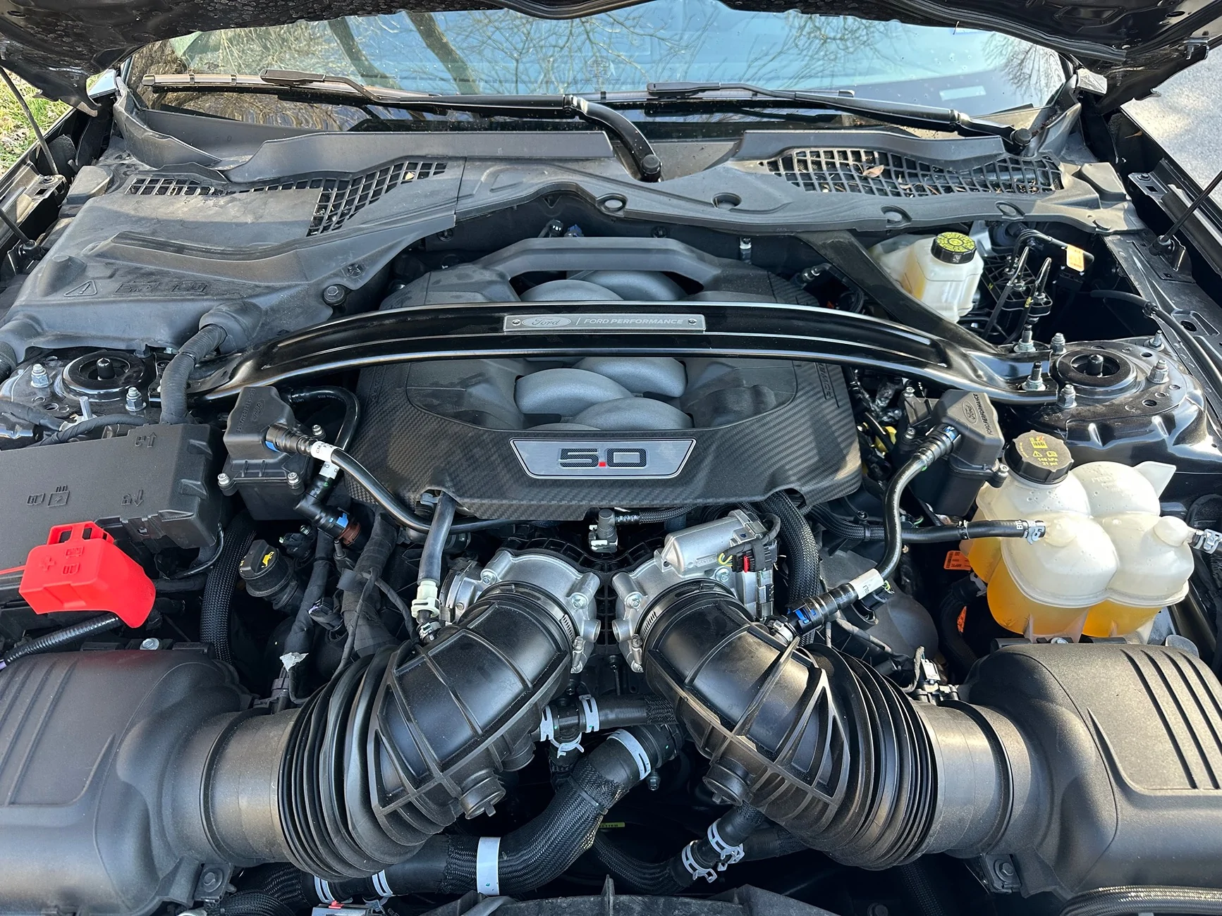 S650 Mustang Ford Performance Air Oil Separator Installed! IMG_6931