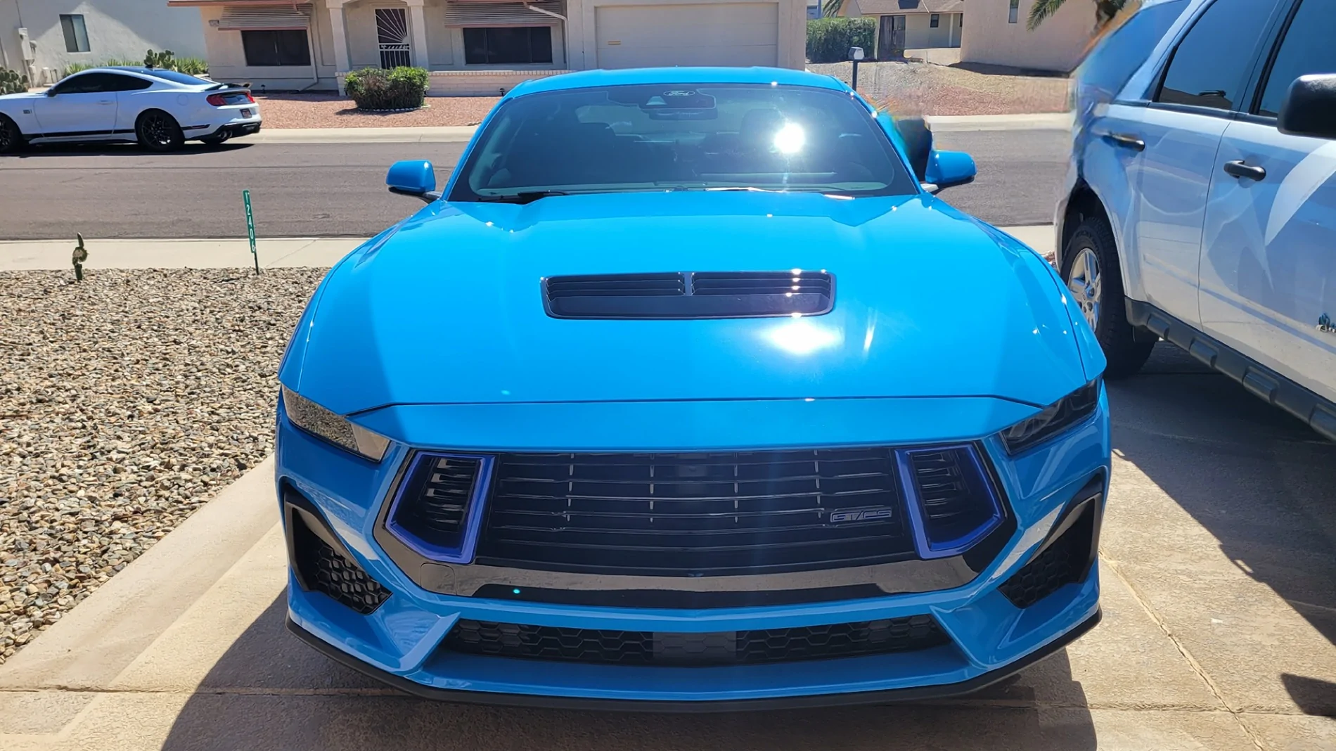 S650 Mustang Help me choose my 2025 GT! 20250308_131127