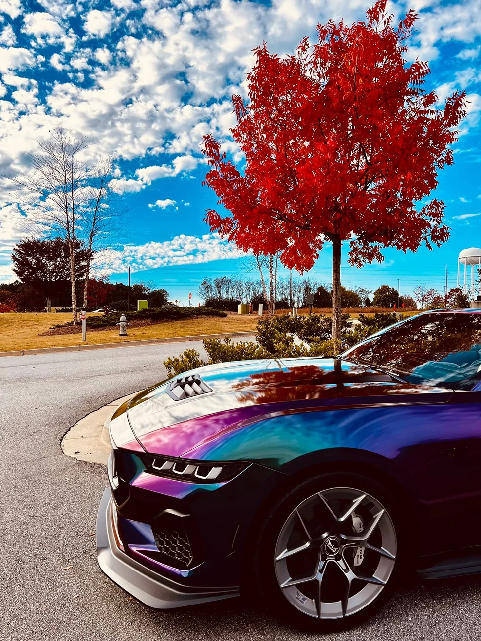 S650 Mustang Cool Daily Random S650 Mustang Pics -- Post Yours! 📸 IMG_2943