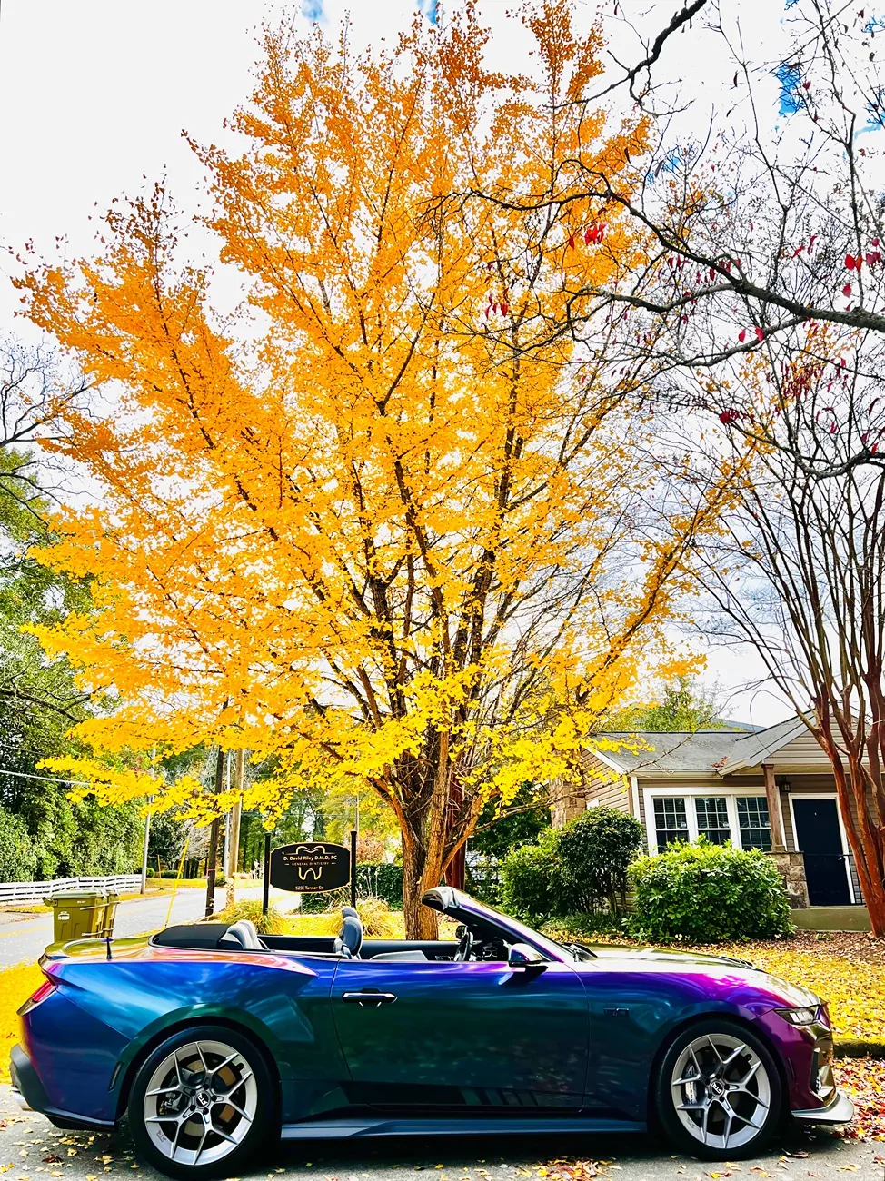 S650 Mustang Cool Daily Random S650 Mustang Pics -- Post Yours! 📸 IMG_2947