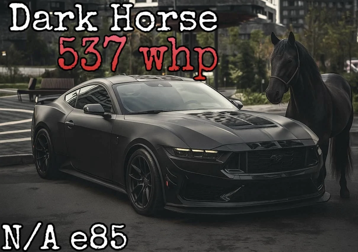 S650 Mustang Mustang Dark Horse S650 N/A made 537whp on dyno with bolt-ons & tune IMG_5116