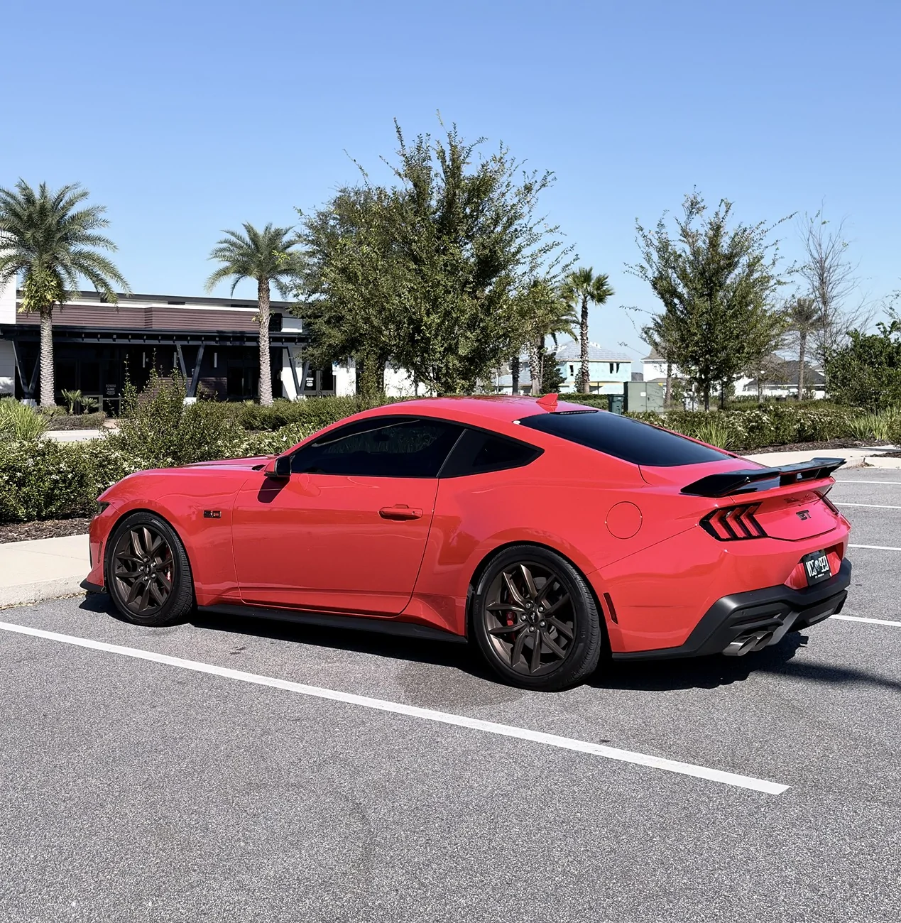 S650 Mustang What did you do to your S650 Mustang today?? 🙋🏻‍♂️ 1