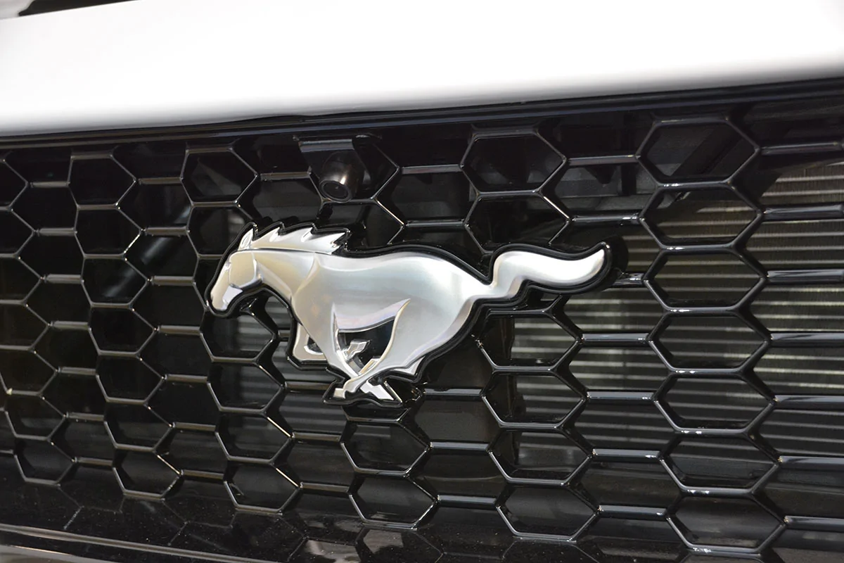 S650 Mustang What's In ALM's Garage? _DSC8070_1200