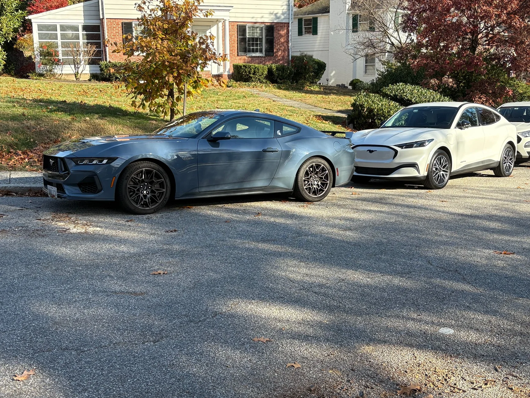 S650 Mustang Cool Daily Random S650 Mustang Pics -- Post Yours! 📸 IMG_2168