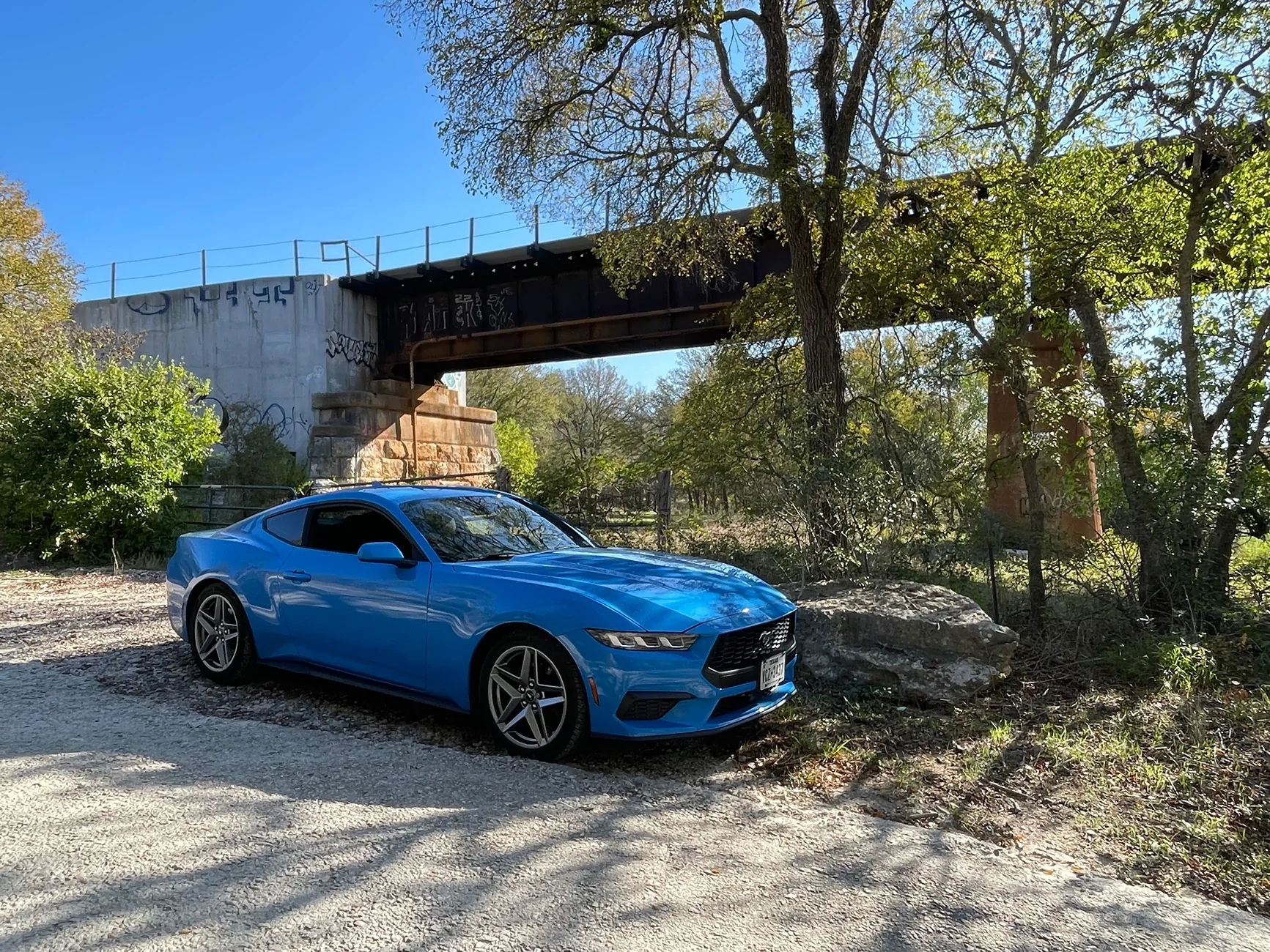 S650 Mustang Cool Daily Random S650 Mustang Pics -- Post Yours! 📸 IMG_8682