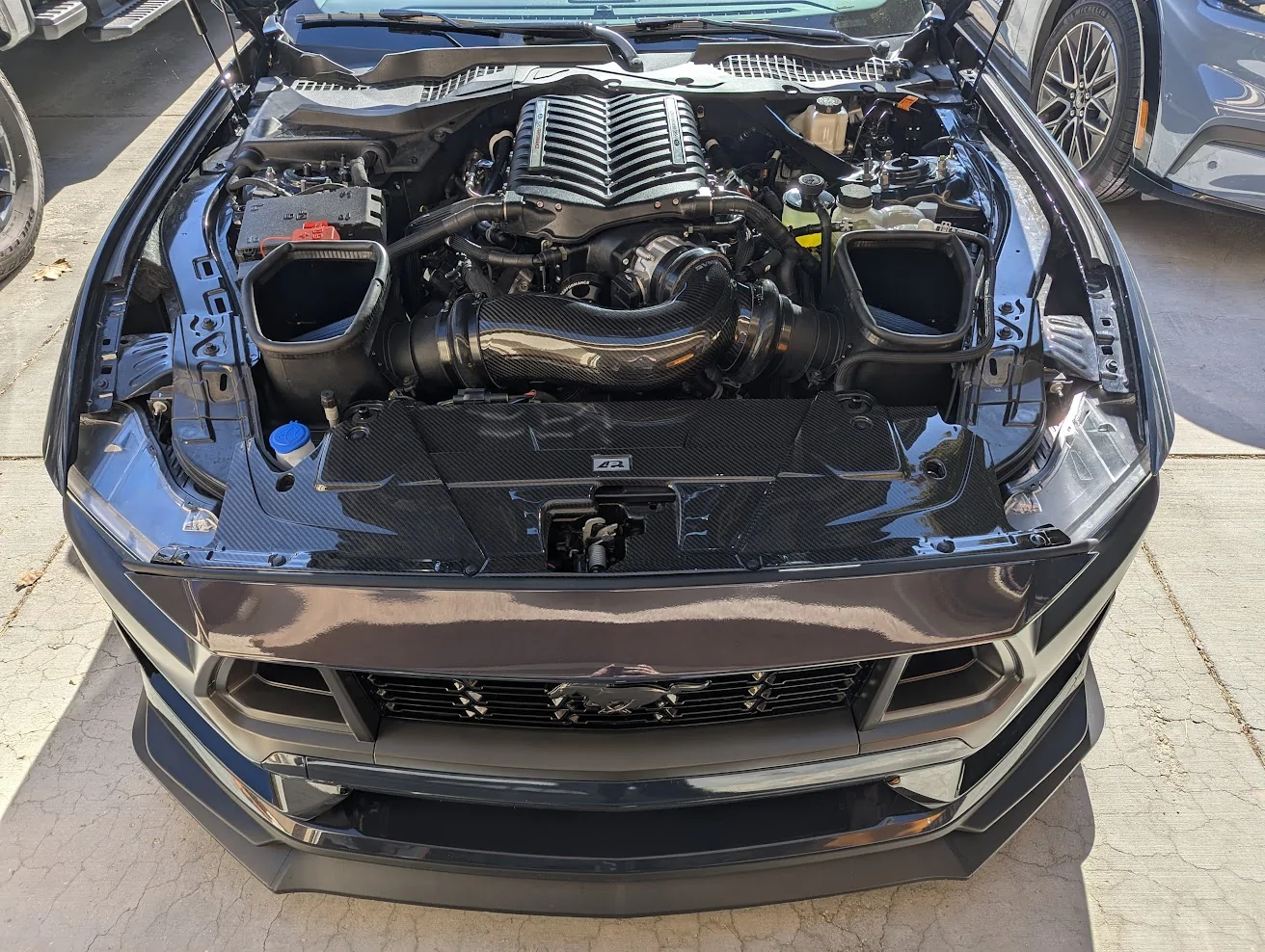 S650 Mustang Cool Daily Random S650 Mustang Pics -- Post Yours! 📸 morefiber