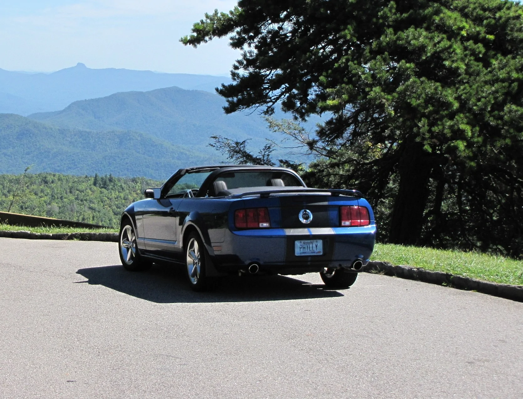 S650 Mustang Looky what arrived today - Convertible Wind Deflector BILTMORE, SEPT 2010 (186)