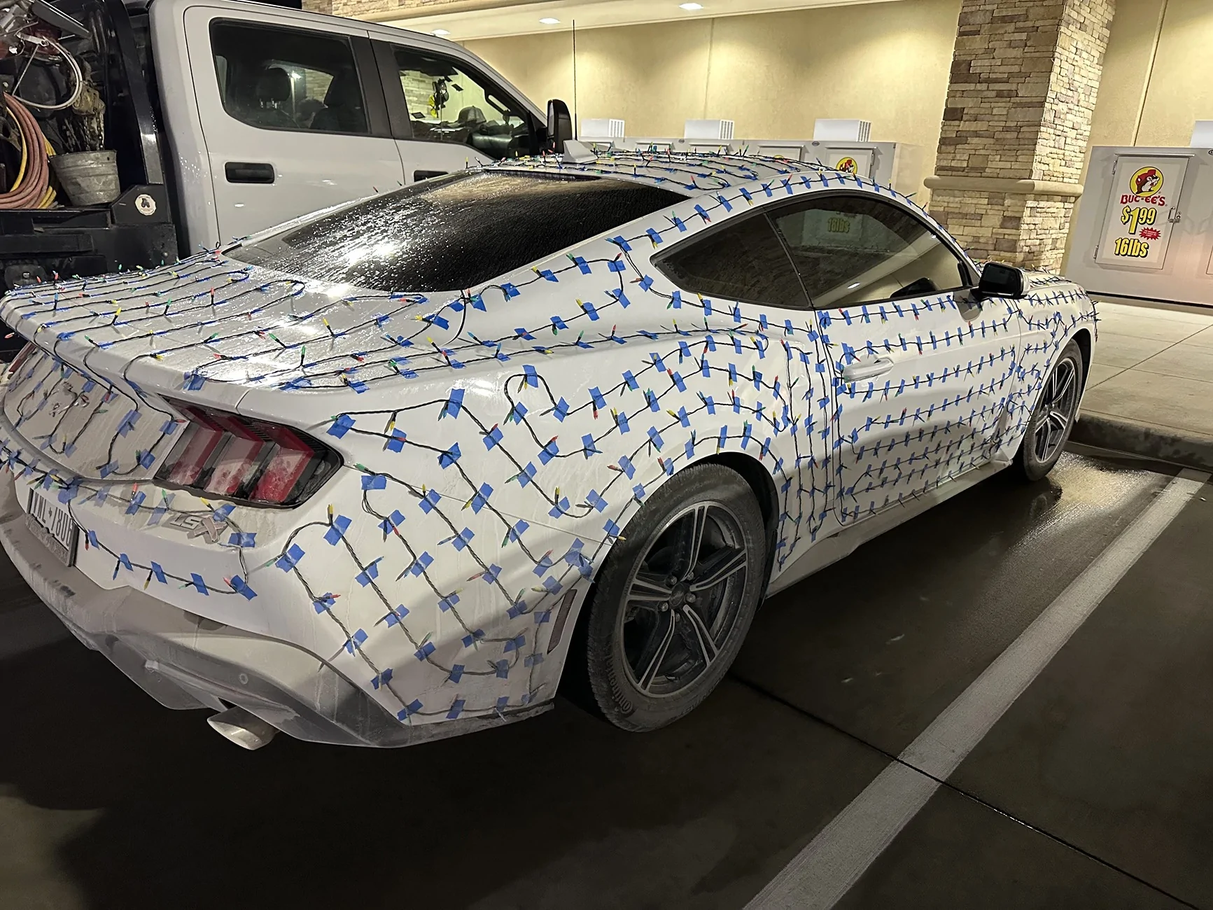 S650 Mustang Meanwhile in Texas, S650 Holiday Light Setup 1976dbd0-c296-4b39-8118-09a51bdfd91d-1_all_166022