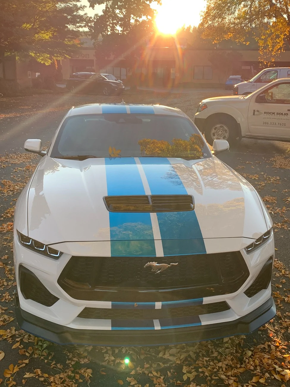 S650 Mustang Cool Daily Random S650 Mustang Pics -- Post Yours! 📸 IMG_0200