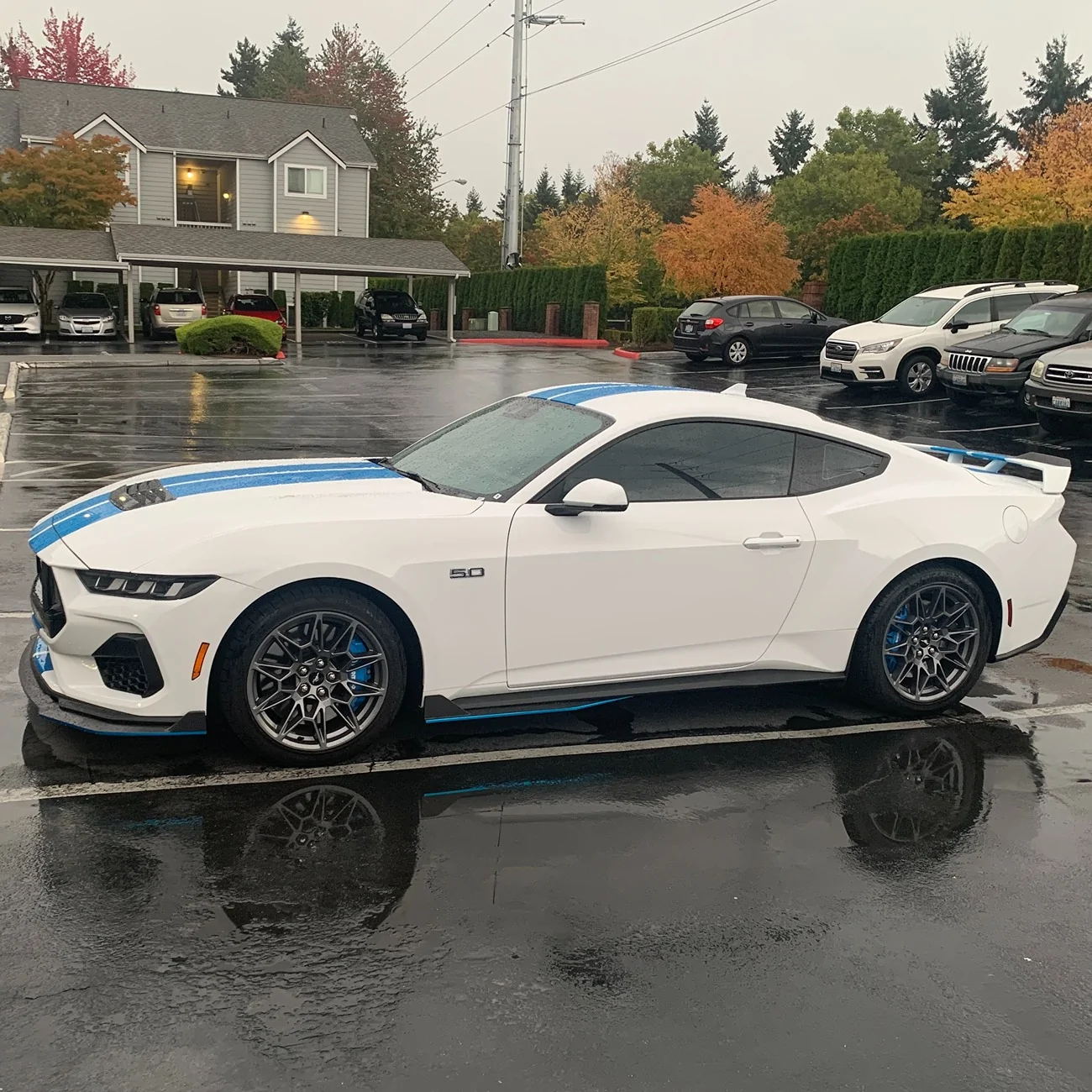 S650 Mustang Cool Daily Random S650 Mustang Pics -- Post Yours! 📸 IMG_0278 copy