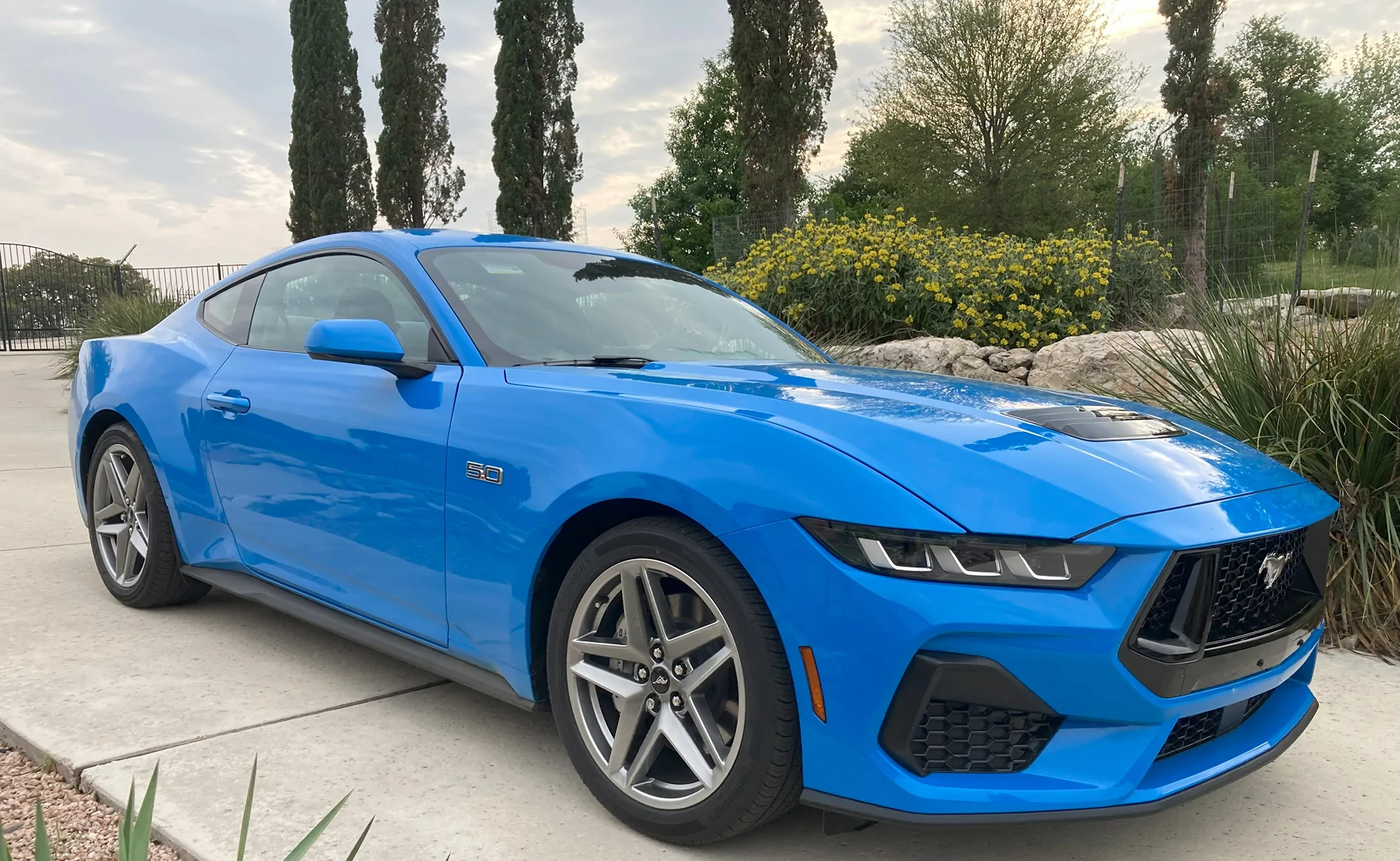 S650 Mustang Help me choose my 2025 GT! IMG_3927