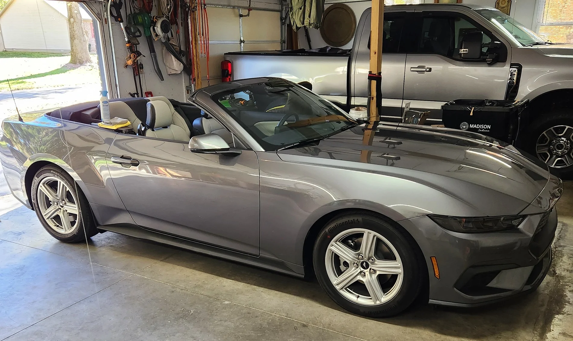 S650 Mustang Official CARBONIZED GRAY Mustang S650 Thread Mustang 1