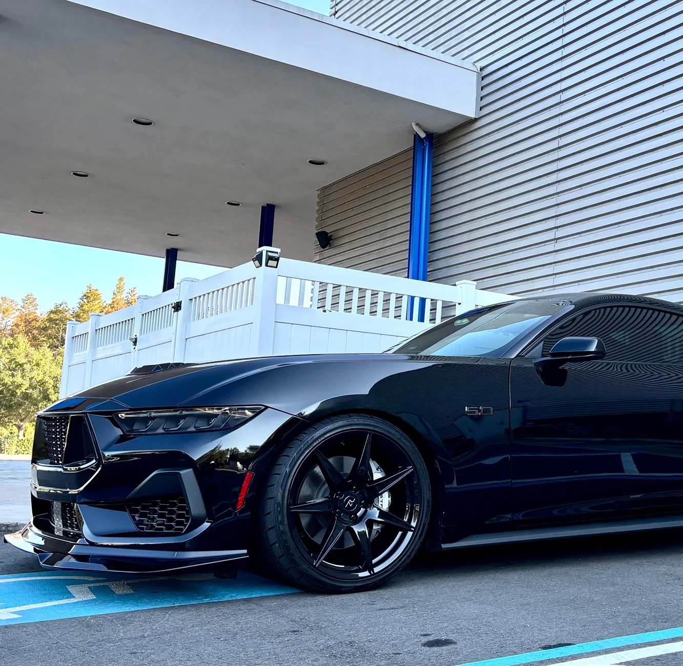 S650 Mustang What did you do to your S650 Mustang today?? 🙋🏻‍♂️ IMG_7624