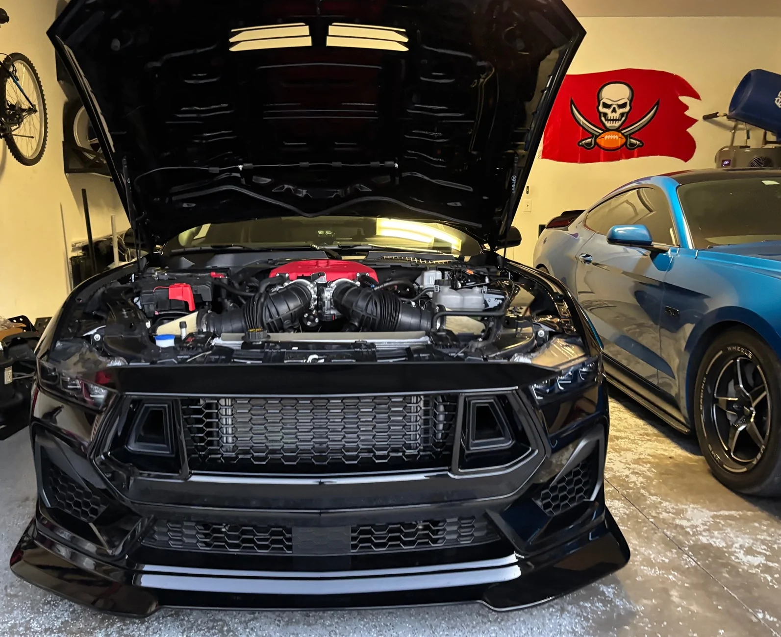 S650 Mustang What did you do to your S650 Mustang today?? 🙋🏻‍♂️ IMG_7606