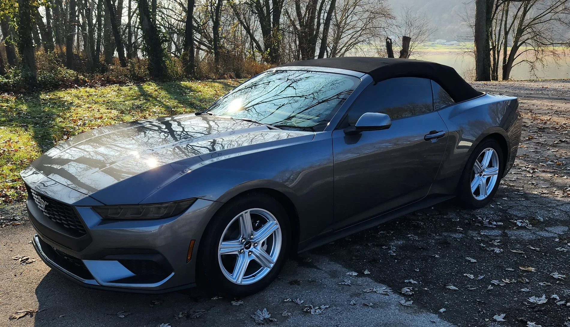S650 Mustang Who’s enjoying the warm days before hibernation. car 3