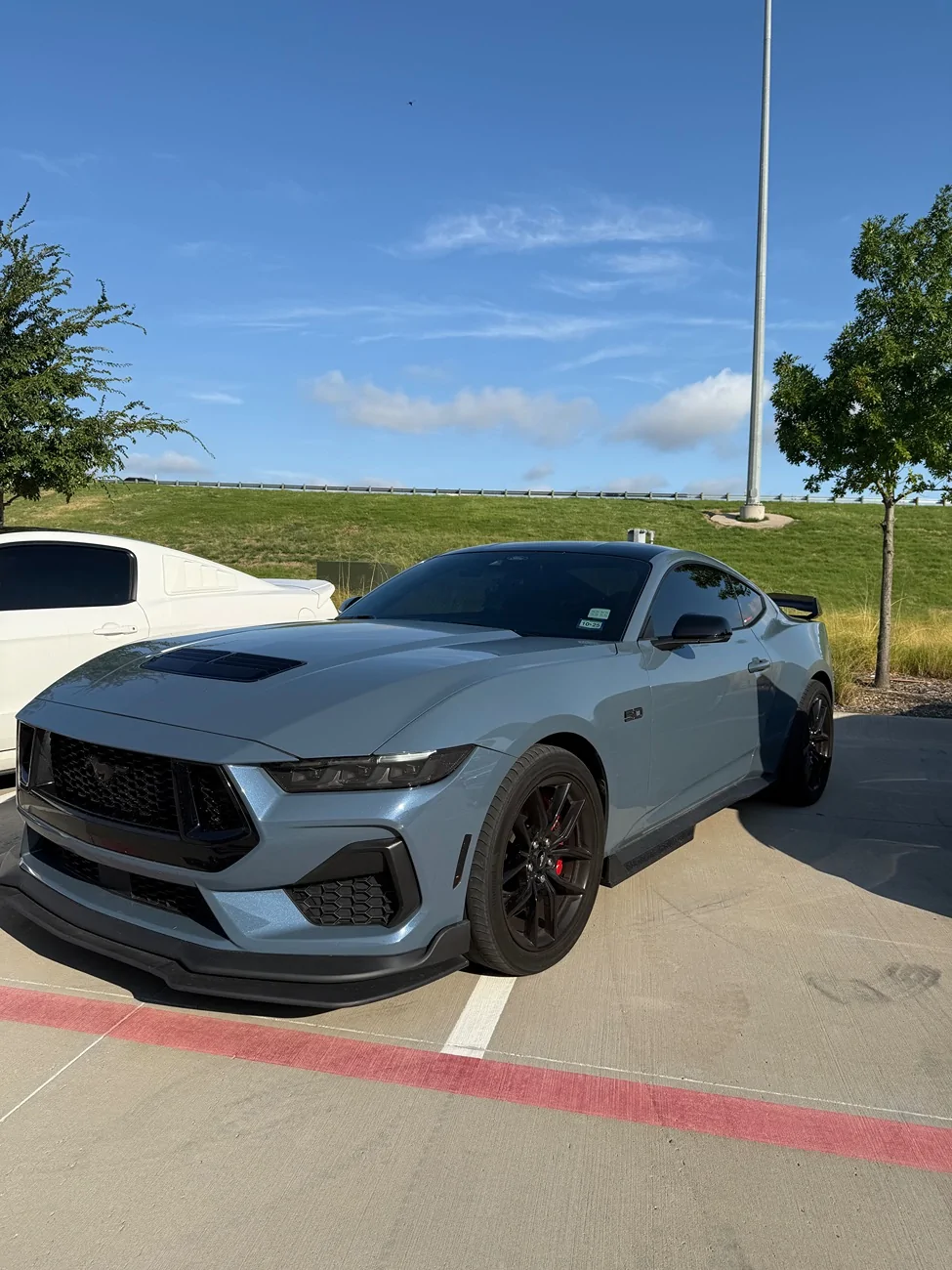 S650 Mustang Mustang Christmas List IMG_3472