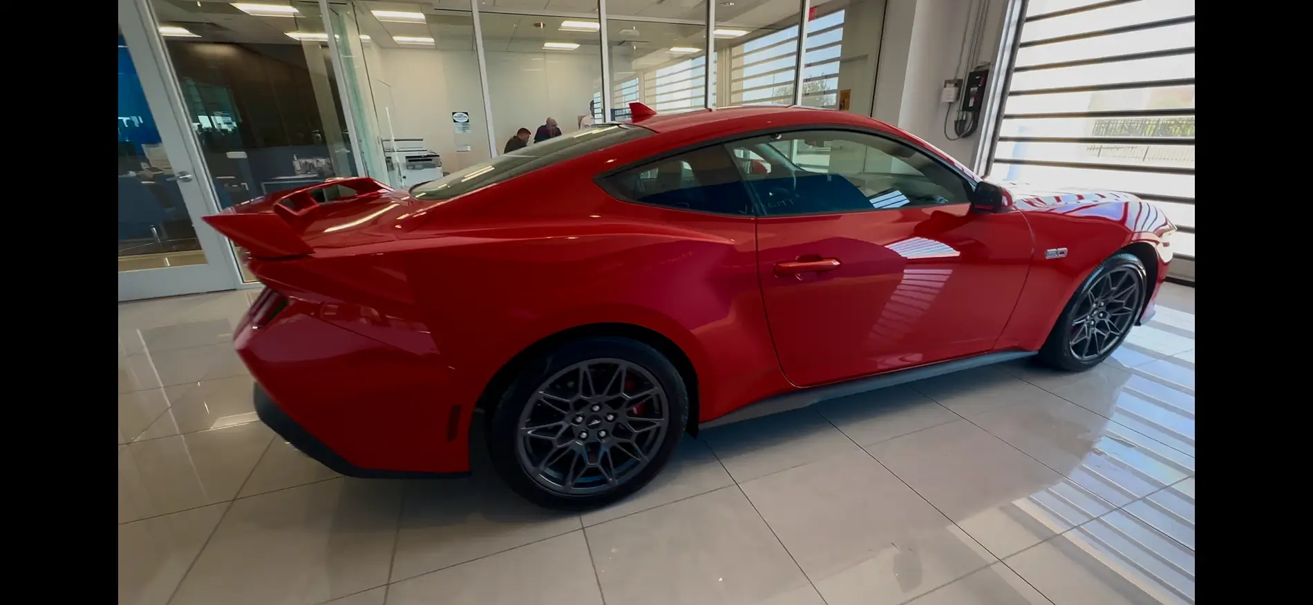 S650 Mustang Mustang owner's color preferences IMG_9256