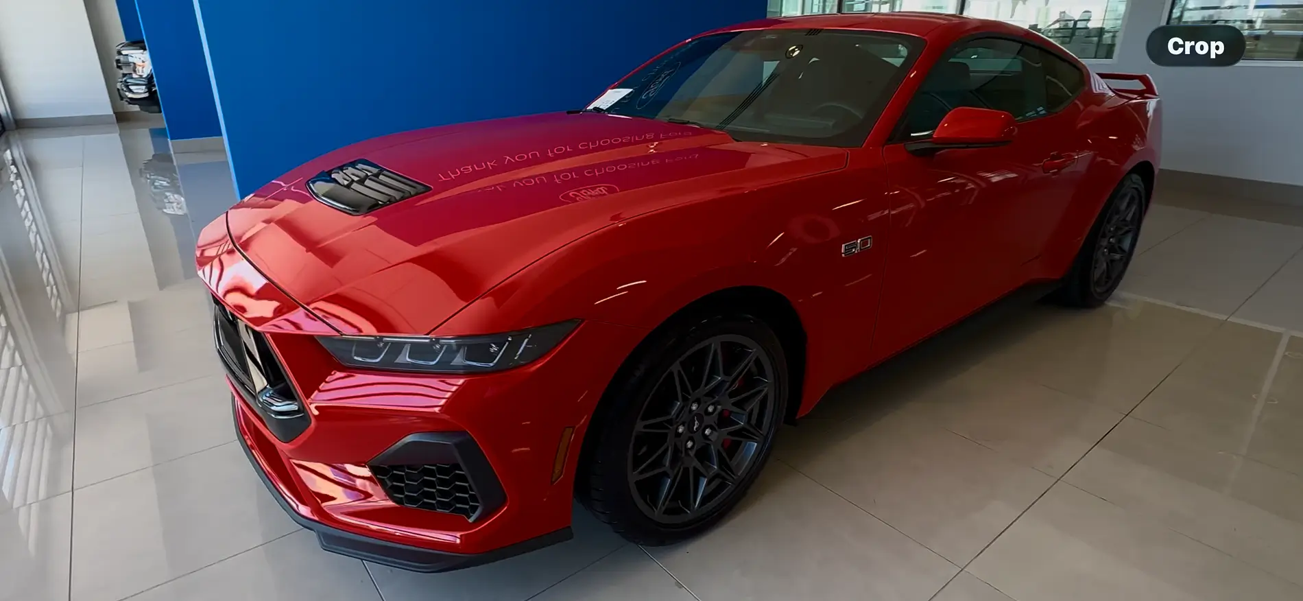 S650 Mustang Mustang owner's color preferences IMG_9257