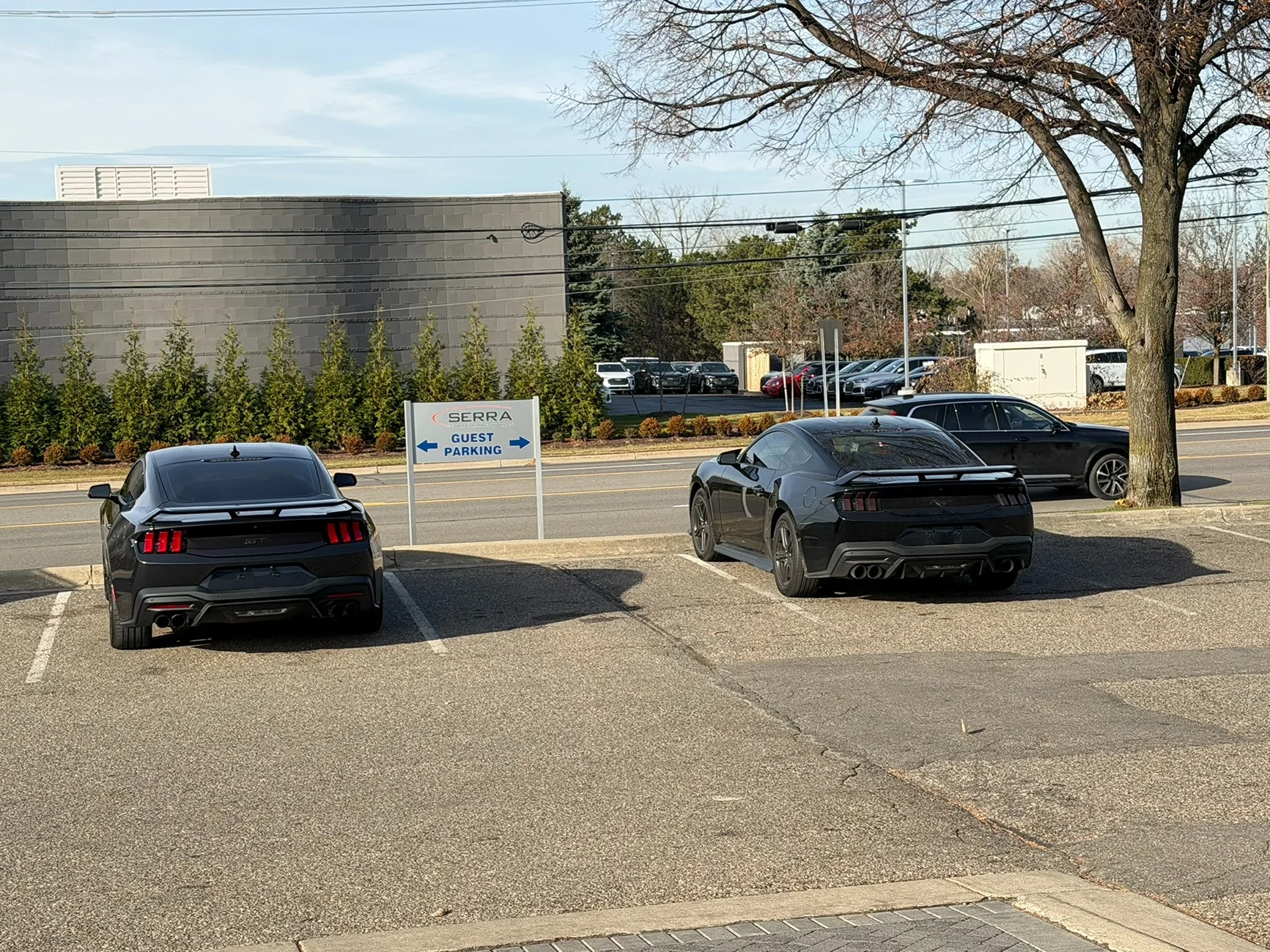 S650 Mustang Story of modifying my first car / Mustang IMG_9199