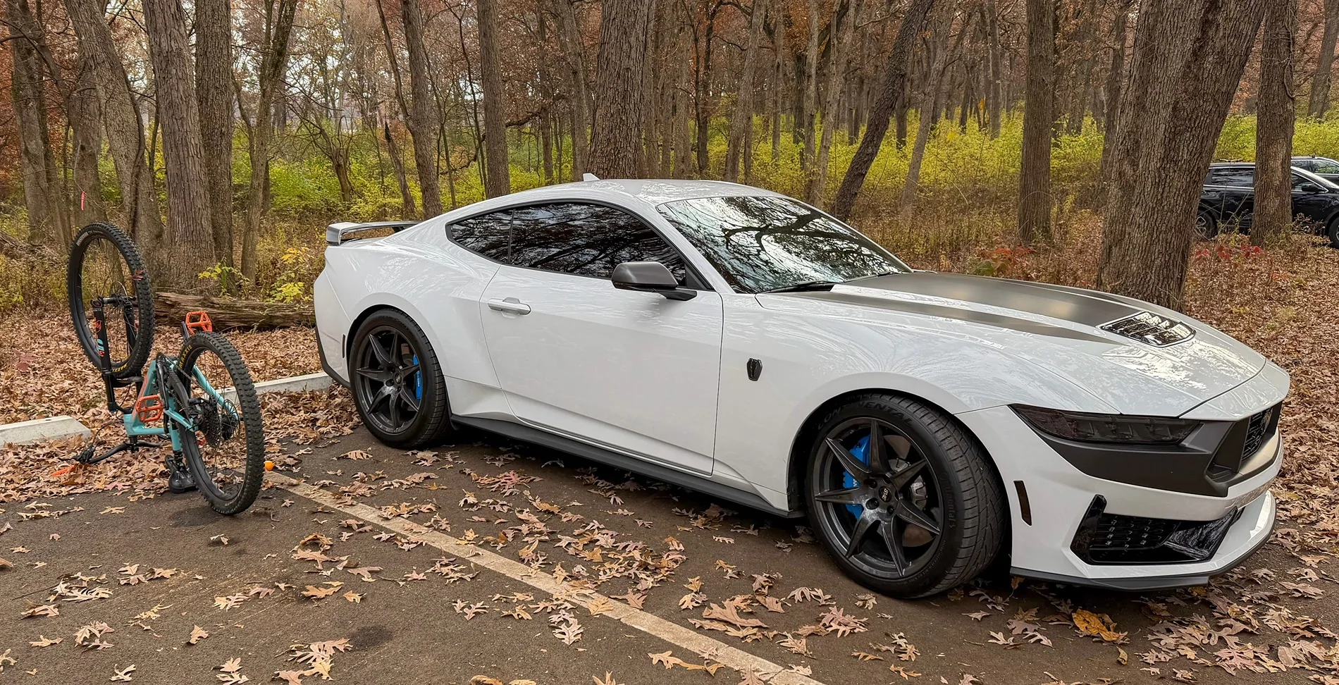 S650 Mustang Any pics of 20x10/20x11 without lowering? IMG_0025