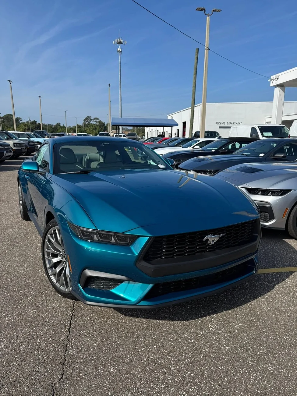 S650 Mustang Official Adriatic Blue Metallic Mustang S650 Thread 1000016180