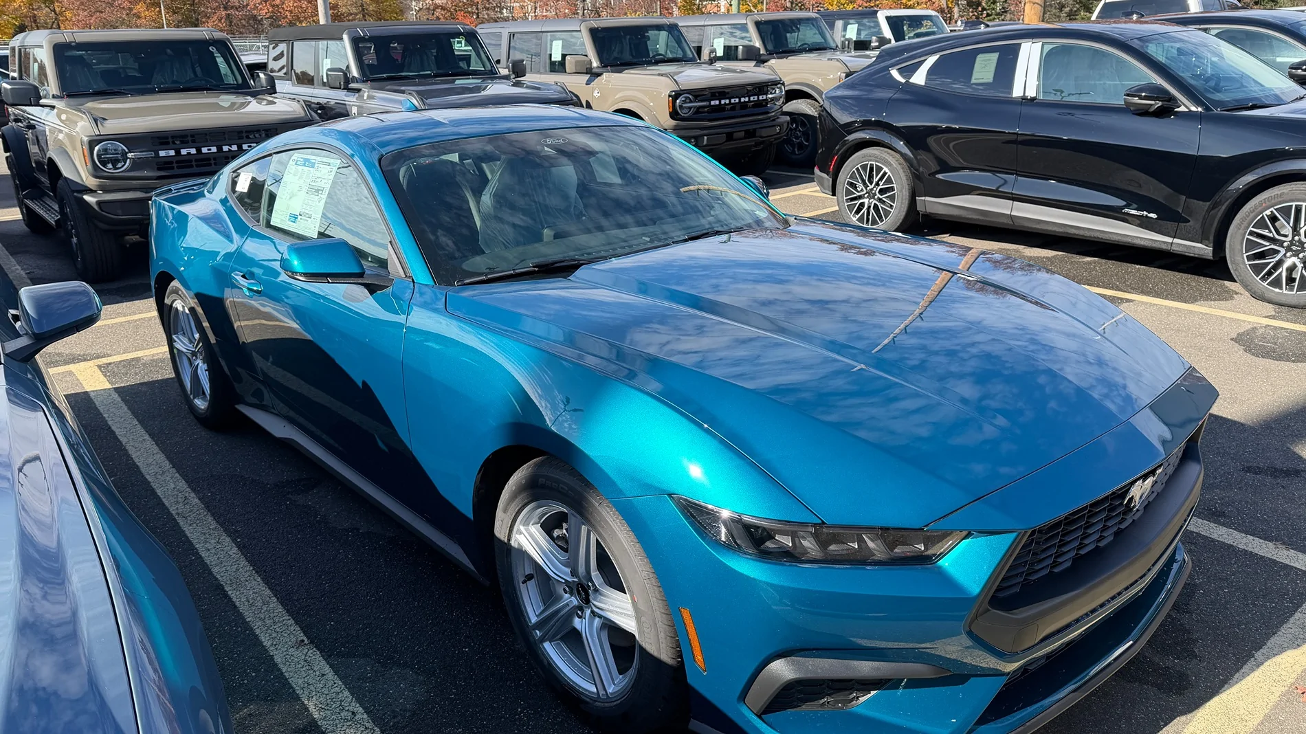 S650 Mustang Official Adriatic Blue Metallic Mustang S650 Thread IMG_7722