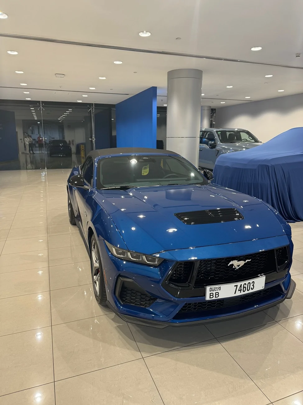 S650 Mustang Introductions & Welcome Thread 👋 IMG_4357