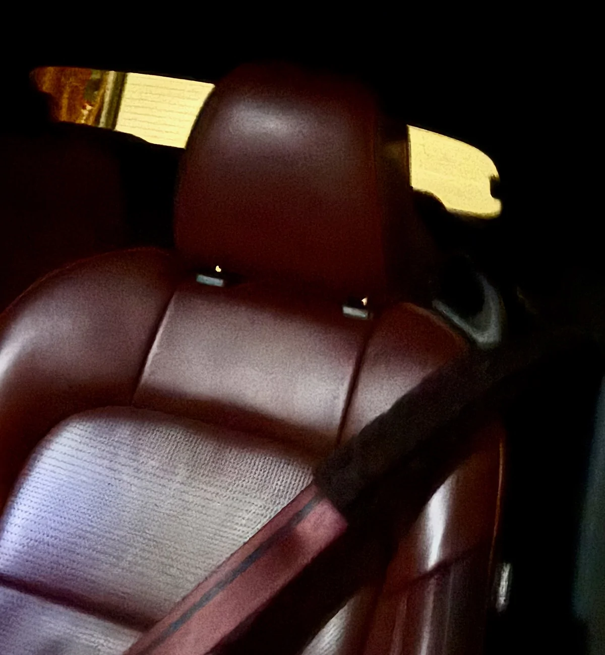 S650 Mustang Post pics of your black interior with red seat belts. Mustang Seat & Seatbelt01
