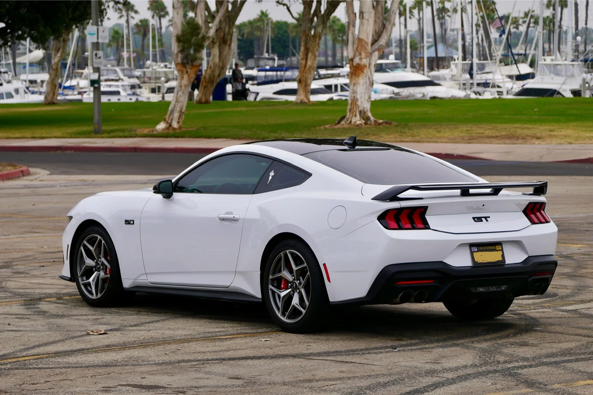 S650 Mustang More exterior mods! Painted roof, spoiler, mirrors P1150352