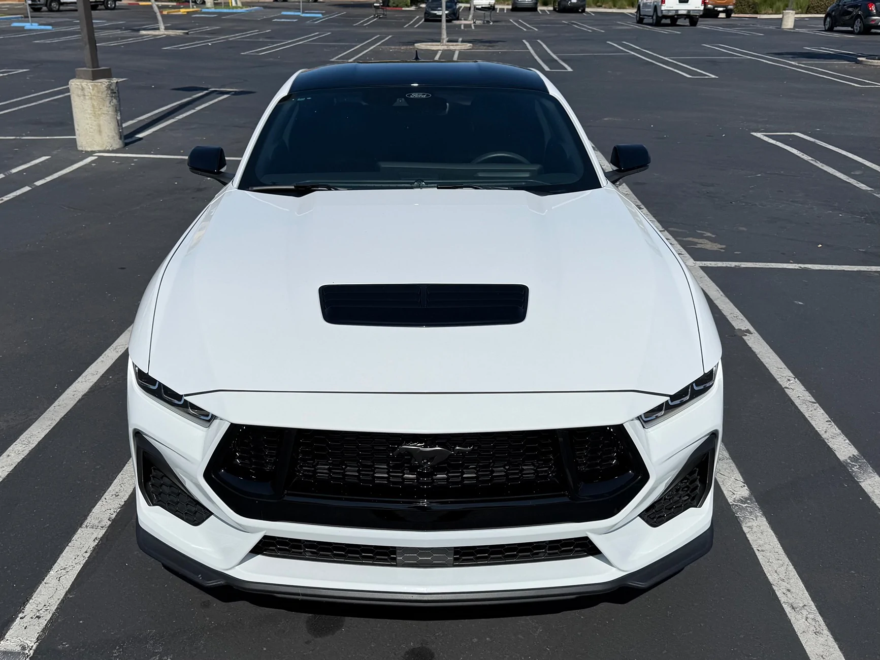 S650 Mustang More exterior mods! Painted roof, spoiler, mirrors IMG_1826
