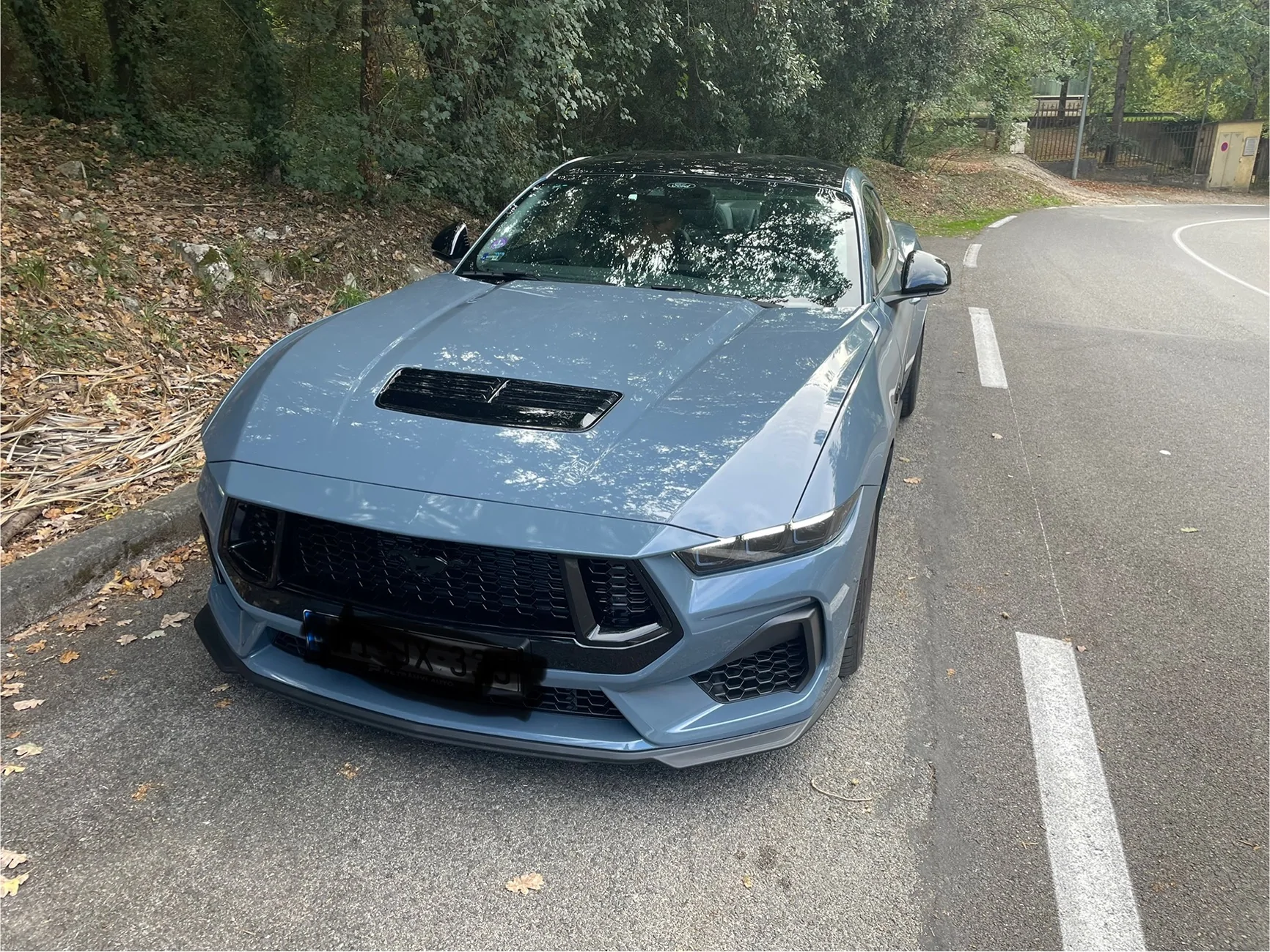 S650 Mustang PP Question IMG_0784